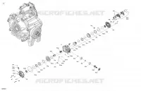 04- ENTRAÎNEMENT - AVANT - PIÈCES DU DIFFÉRENTIEL