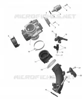 Collettore di aspirazione e acceleratore