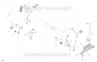 FRECCIA LAMPEGGIATORE