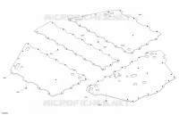 PIASTRA PARAMOTORE