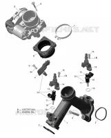 Collettore di aspirazione e acceleratore