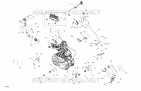 MOTORE