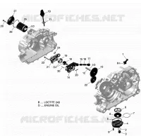 Lubrificazione motore Engine