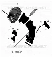 Collettore di aspirazione e acceleratore
