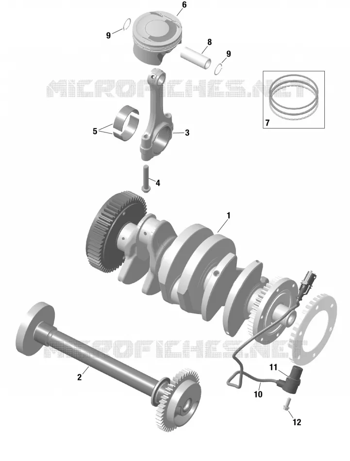 ALBERO MOTORE / PISTONES