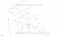 Motore - ADMISSIONE