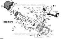 Testa cilindro, anteriore