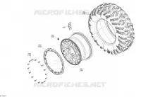 RUOTA / PNEUMATICO