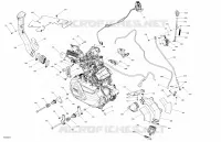 MOTORE