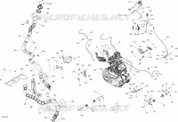 Motore