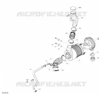 Motore - ADMISSIONE