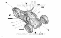 decalcomanie