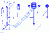 Luci posteriori e componenti elettrici per Can-Am DS 90 X 2020