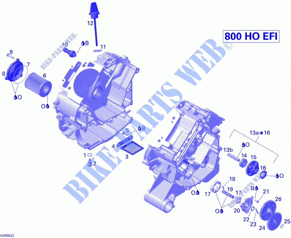 Lubrificazione del motore per Can-Am RENEGADE 800 X 2008
