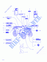 Decalcomanie per Can-Am TRAXTER AUTOSHIFT 2001