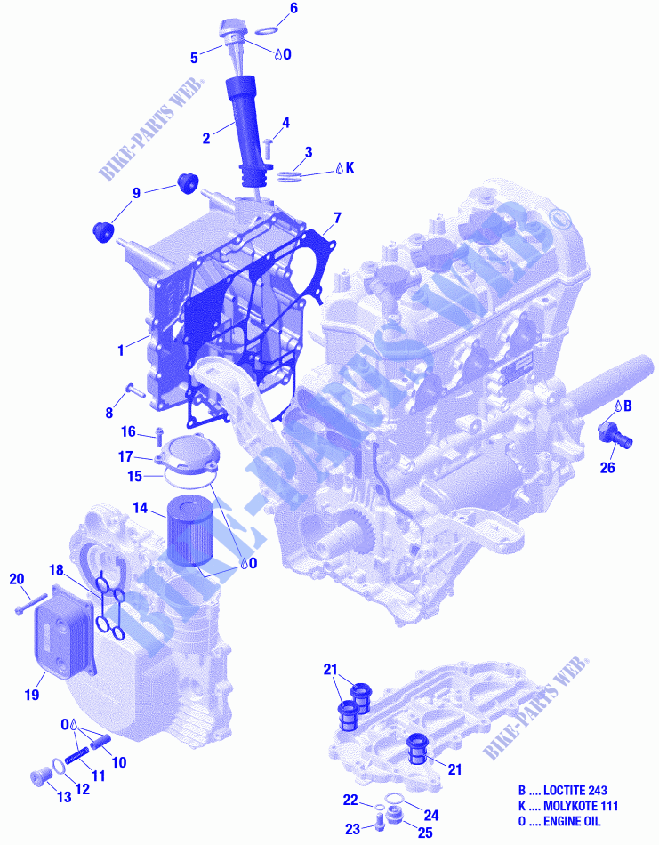 Lubrificazione motore Engine per Can-Am RYKER ACE 900 2021