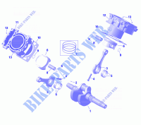 01  ROTAX   Crankshaft and Pistons per Can-Am Traxter DPS HD9 2024