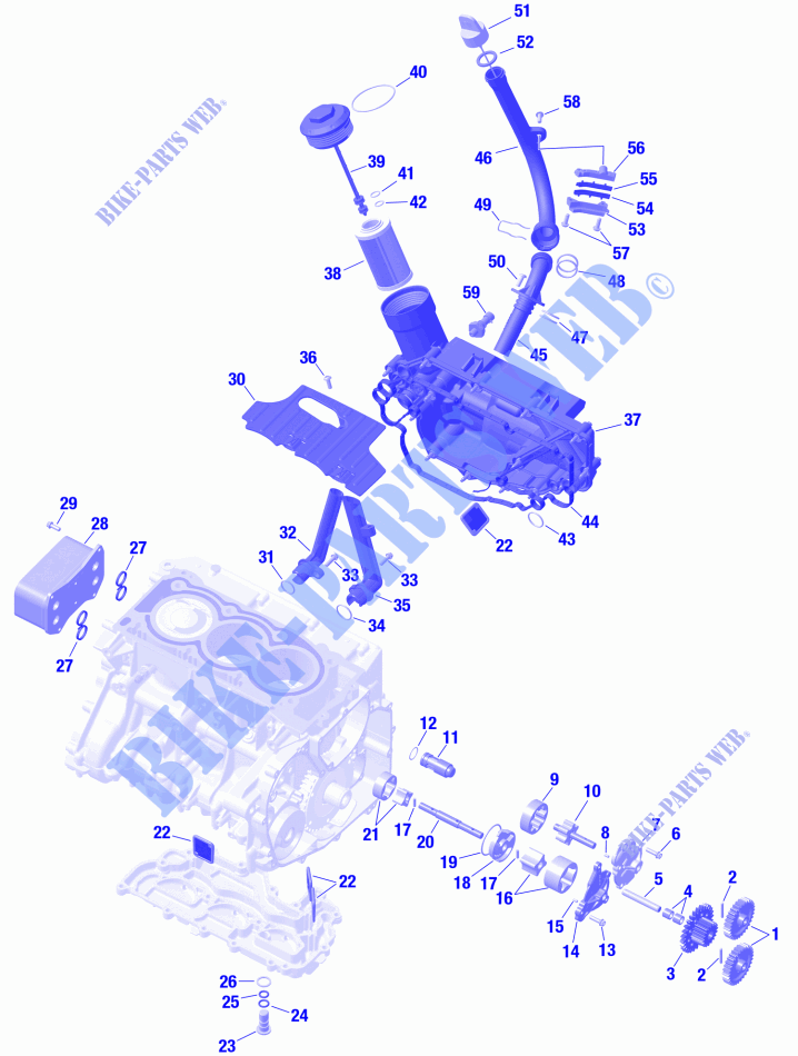 01  ROTAX   Engine Lubrication per Can-Am SPYDER F3-S 2023